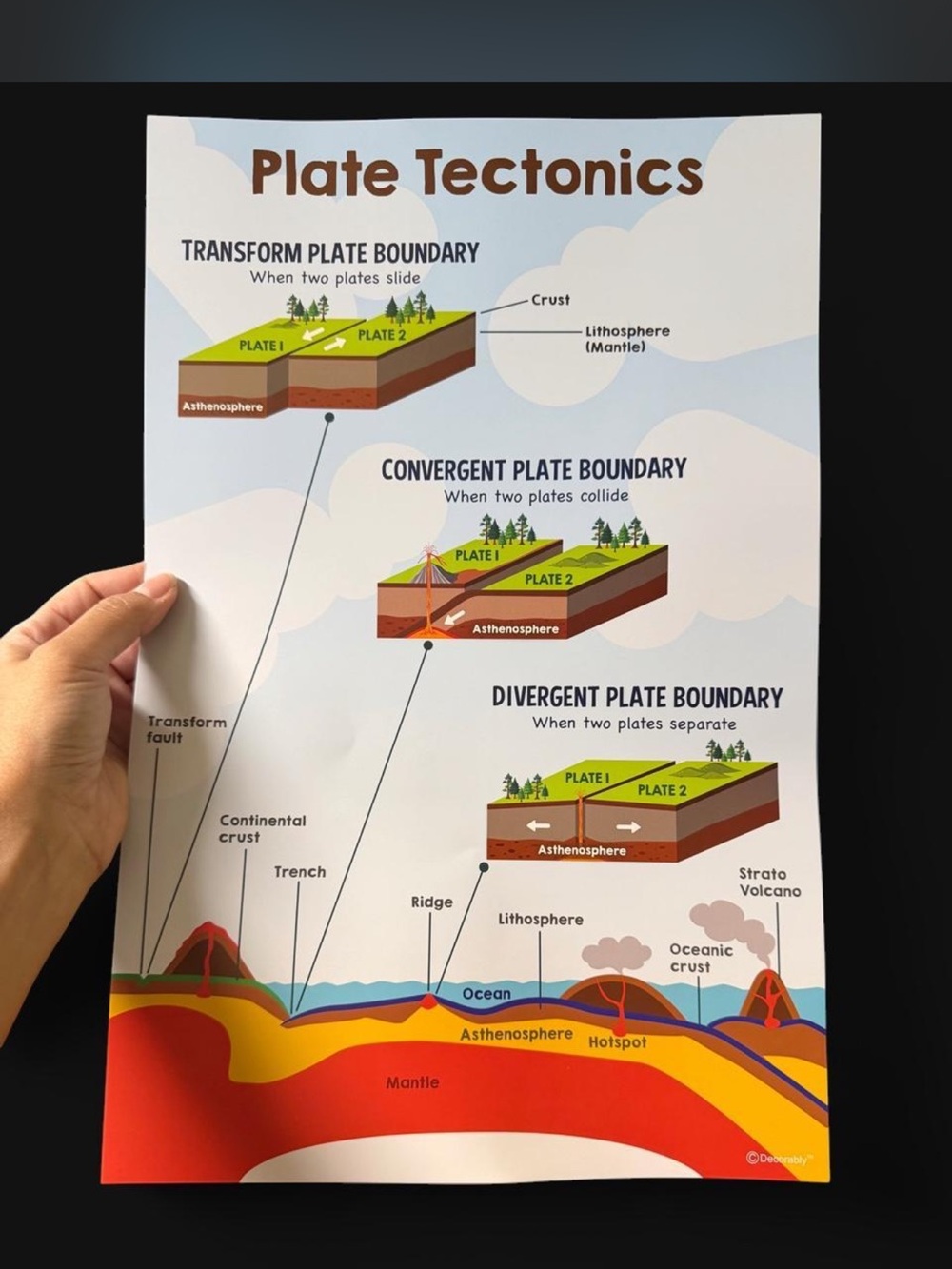 Science Poster - Picture 3 of 5